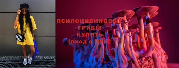 дурь Новодвинск