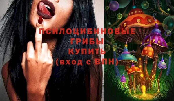 мяу мяу мука Няндома