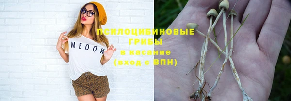 мяу мяу мука Няндома