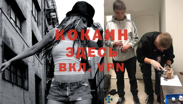 дурь Новодвинск