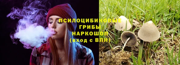 соль ск Новокубанск