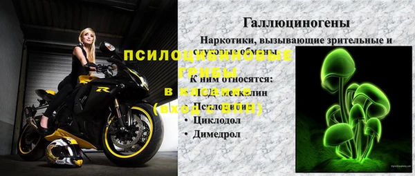 a pvp Новозыбков