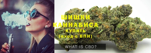 дурь Новодвинск